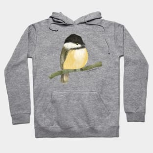 Black capped chickadee bird Hoodie